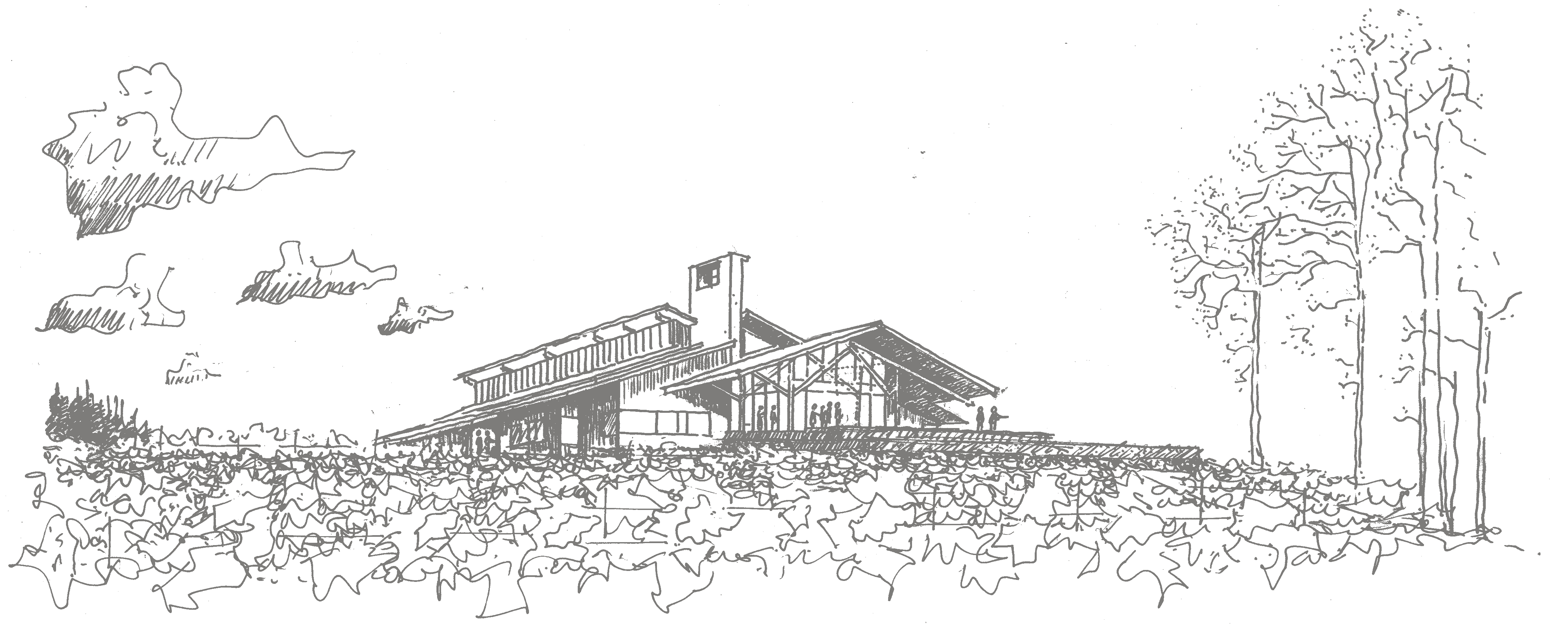 A drawing of the Penner-Ash Estate tasting room.