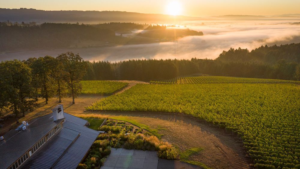 Penner-Ash Estate Vineyard Penner-Ash Estate Vineyard