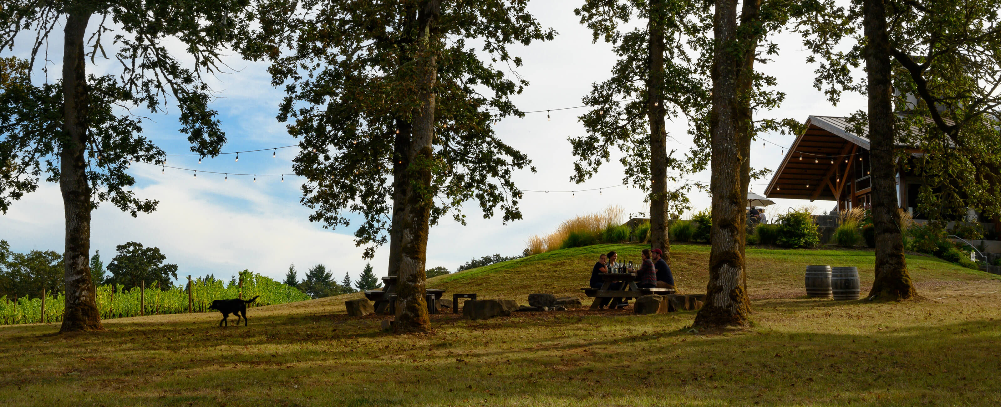 A picnic area on the Penner-Ash Estate.