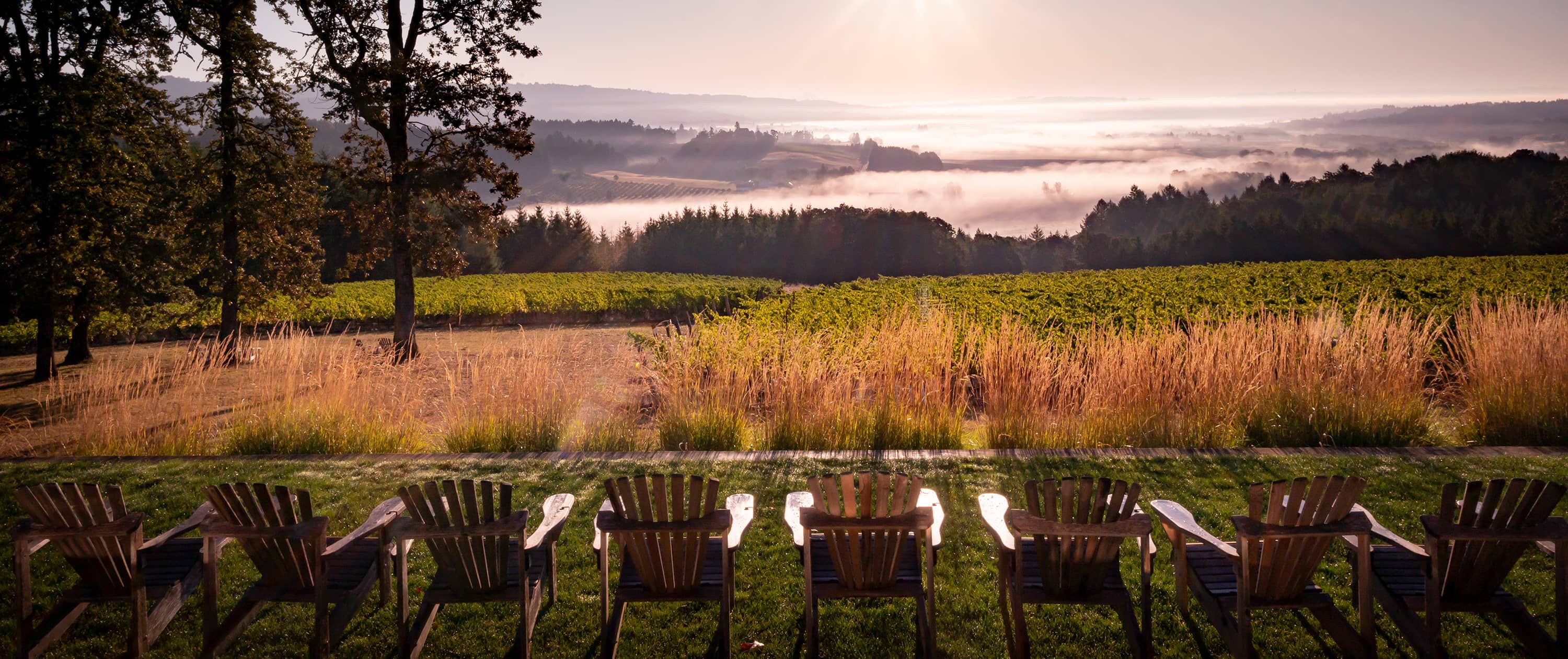 A line of wooden adirondack chairs face out to overlook the Penner-Ash vineyard.
