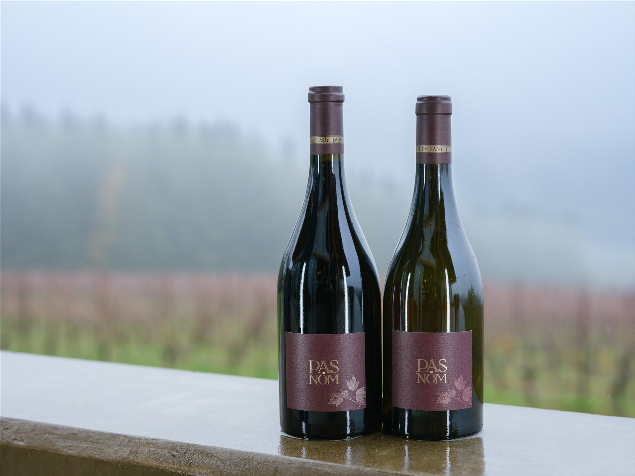 Two bottles of Penner-Ash wine sitting ledge of The Pavilion overlooking the Estate vineyard.