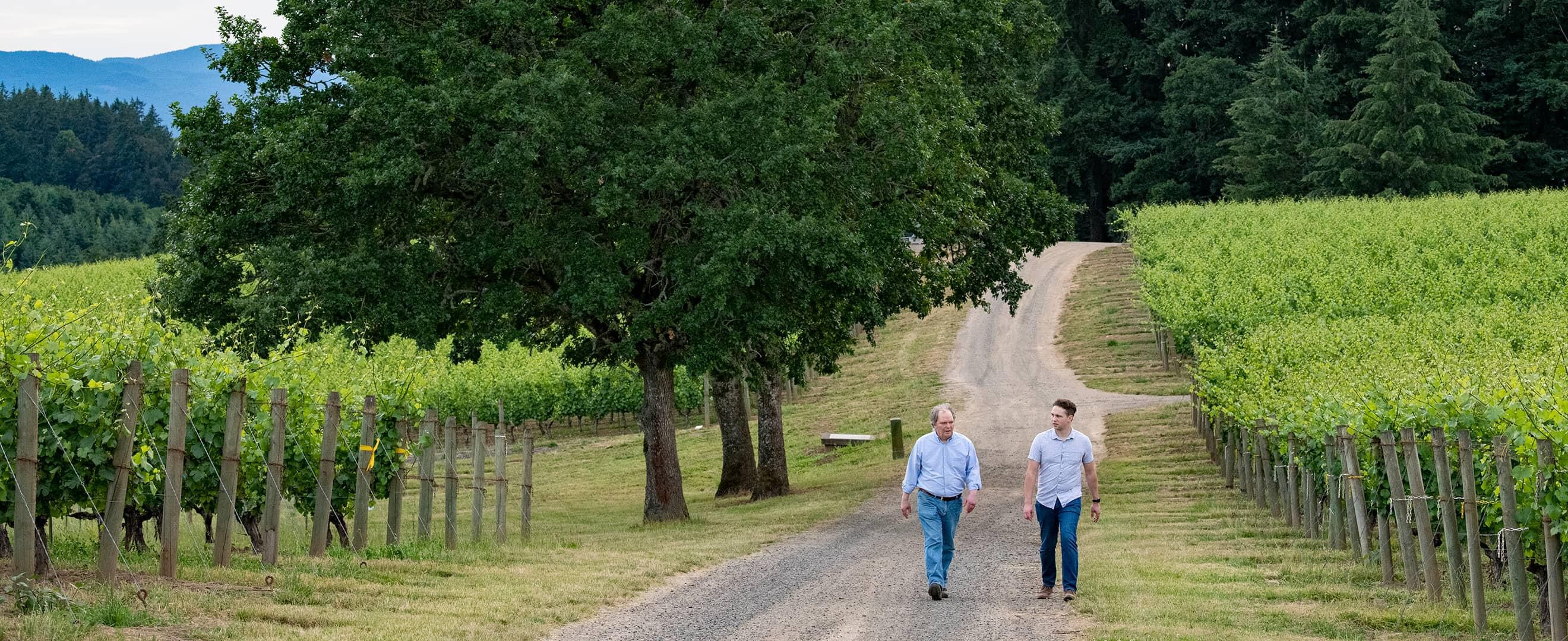 Two people walking along the Shea Vineyard