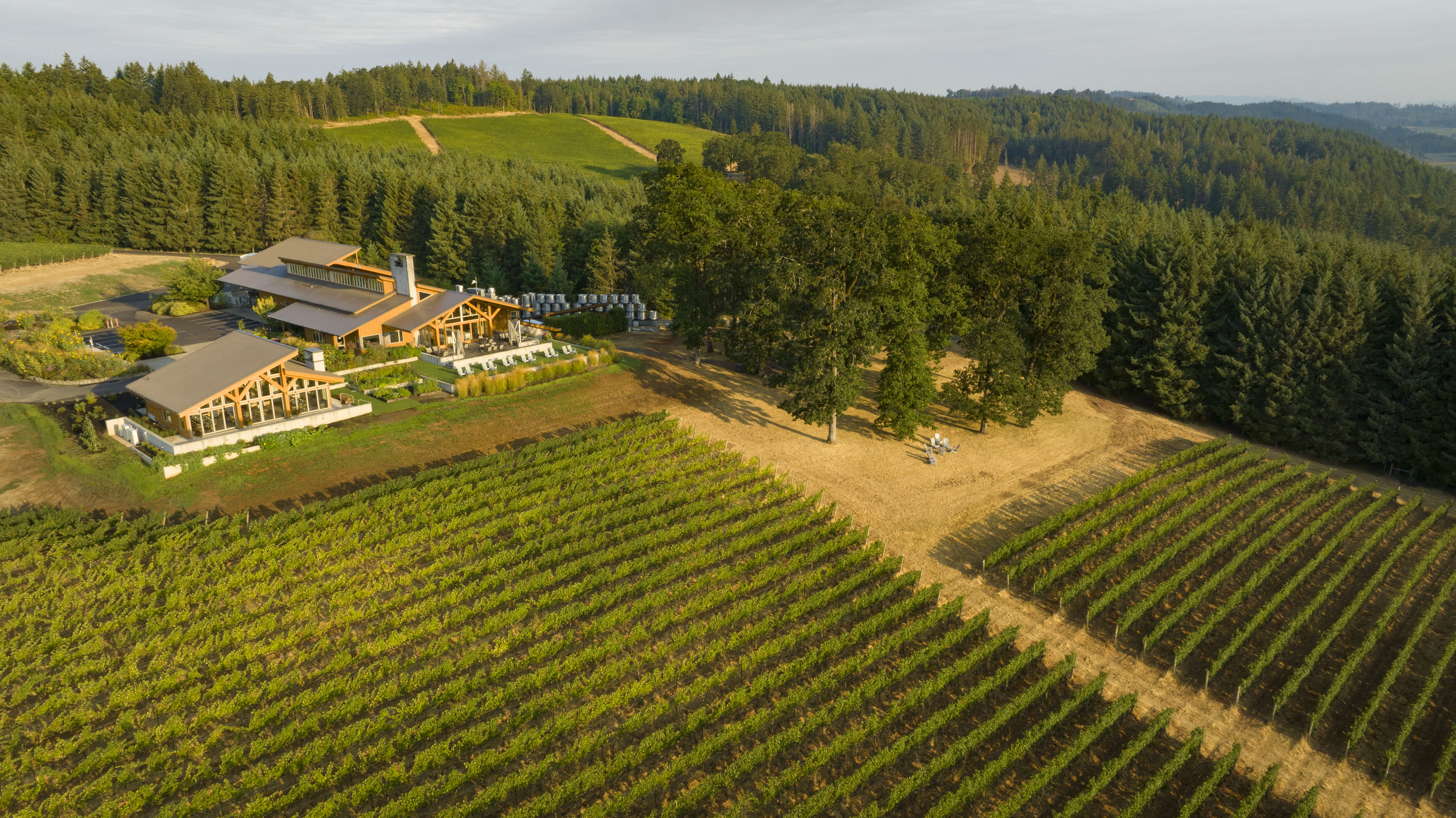 Penner-Ash Estate and Vineyards
